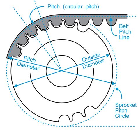 timing belt size chart